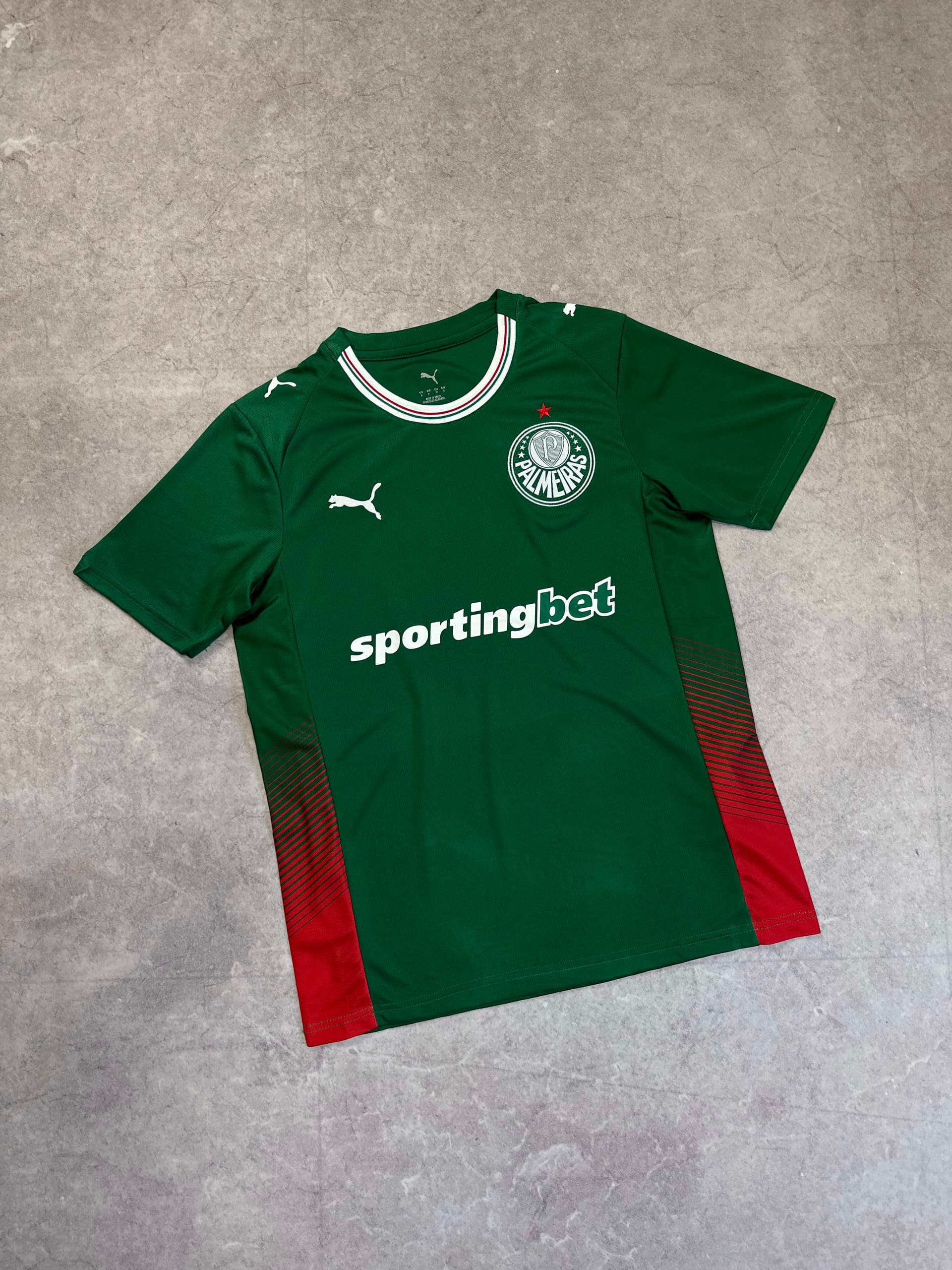Palmeiras Verde 1 - 26/27 — foto 1